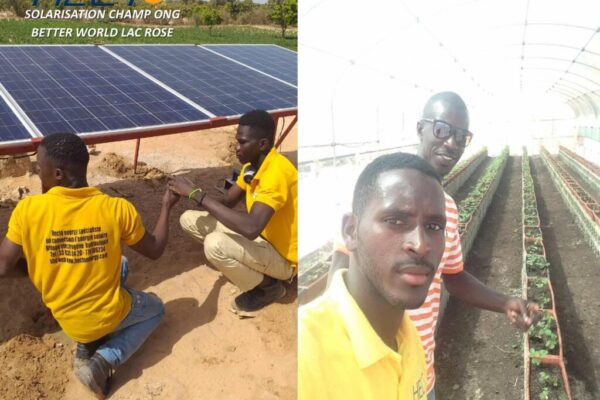 SOLARISATION CHAMP ONG BETTER WORLD LAC ROSE hectoenergy